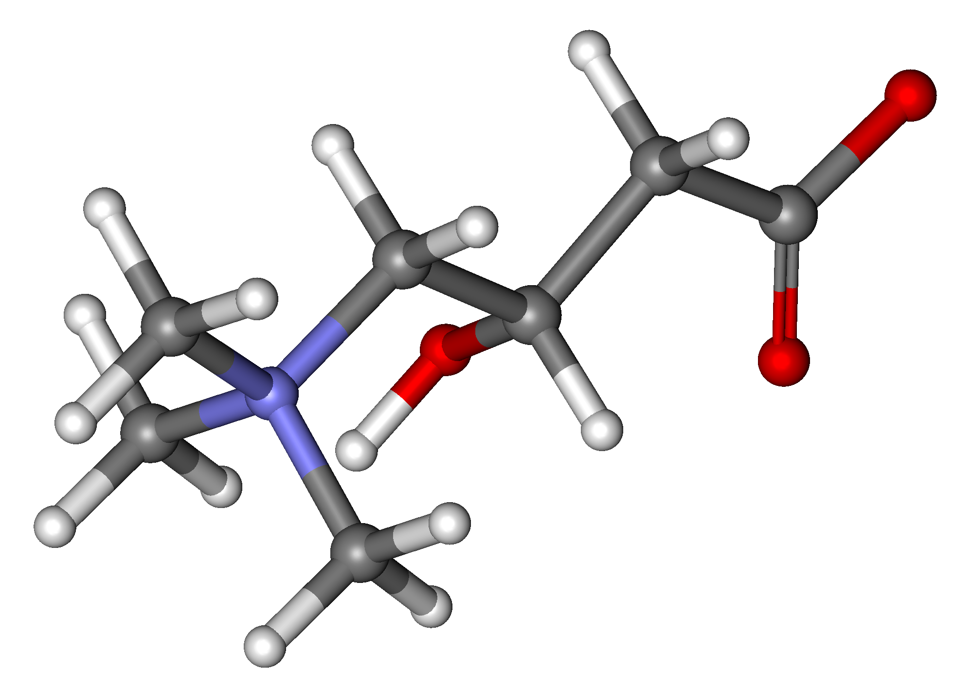 Carnitine