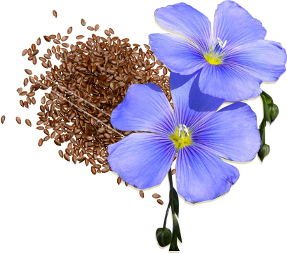 Linseed oil