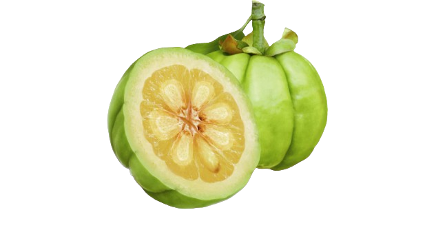 Garcinia