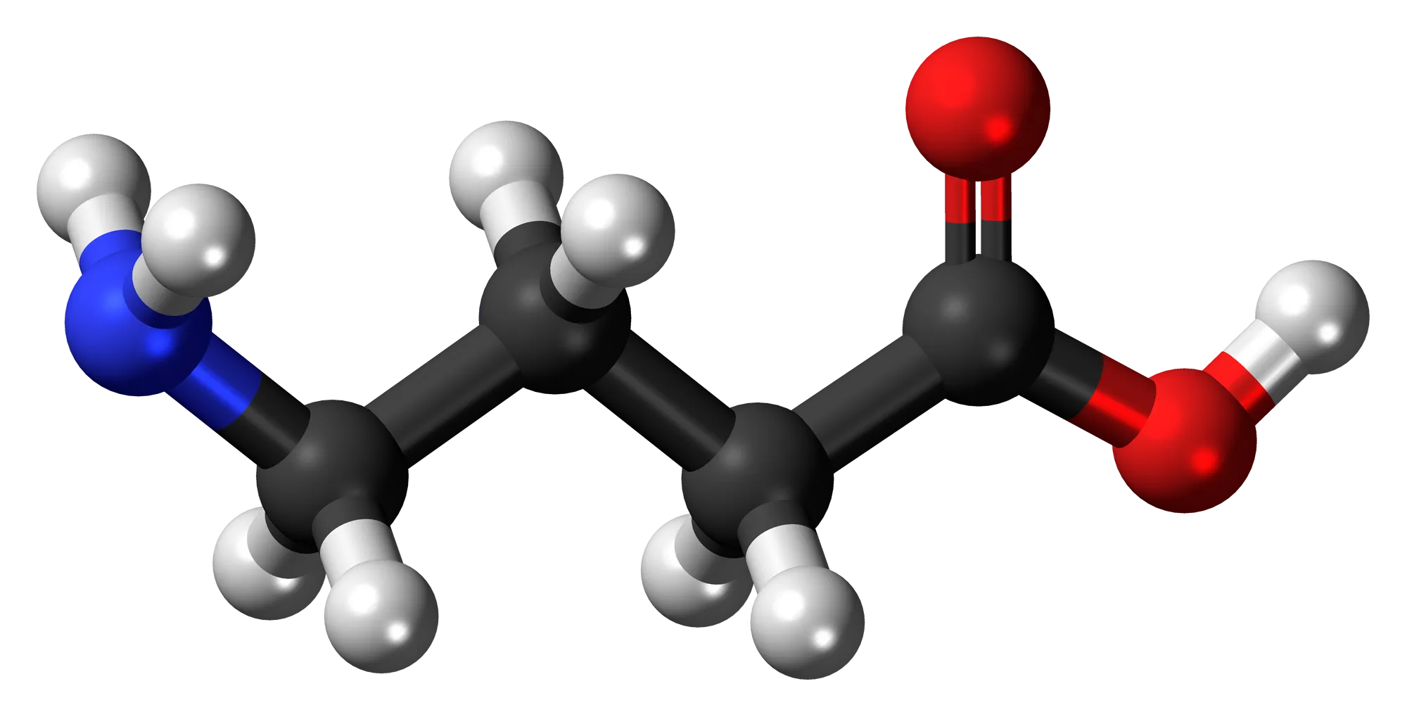 GABA
