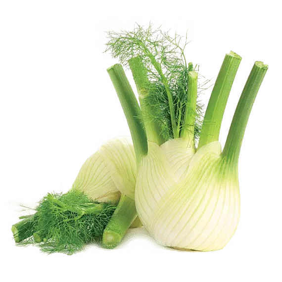Venkel