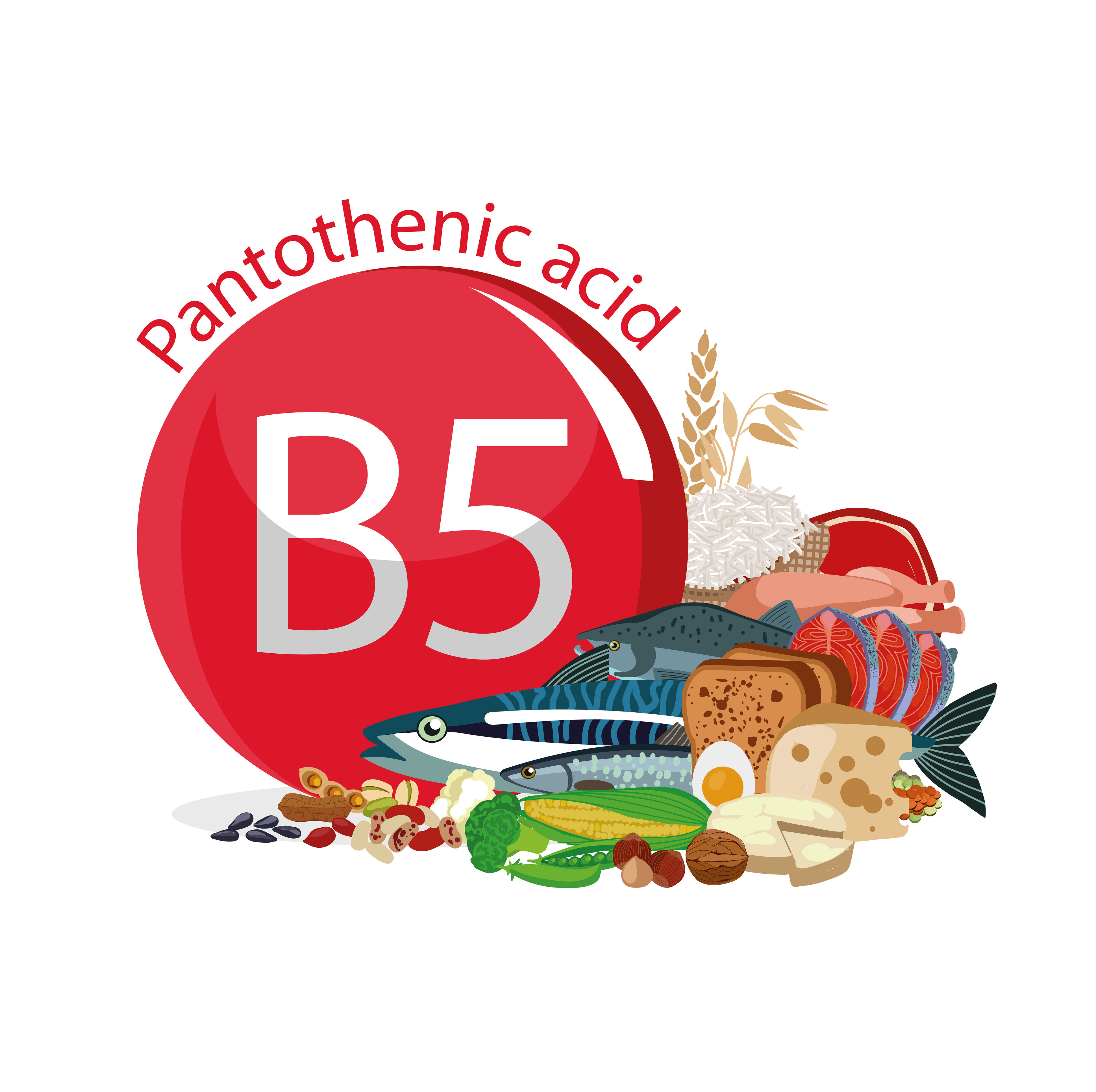 Vitamin B5 (Pantothenic Acid)
