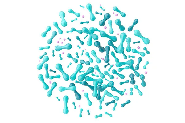 Lactobacillus Helveticus