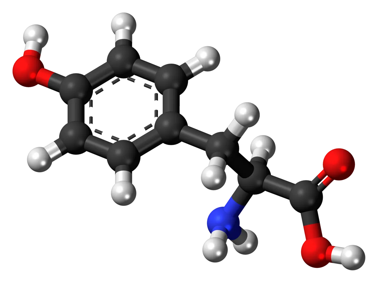 Tyrosin