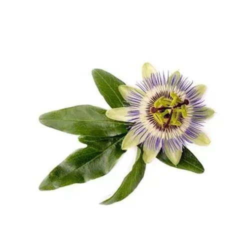 Passiflower