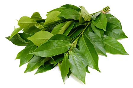 Groene thee