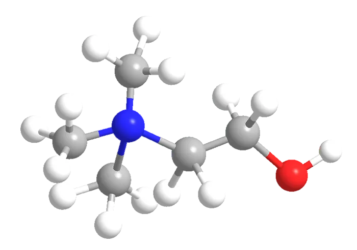Choline