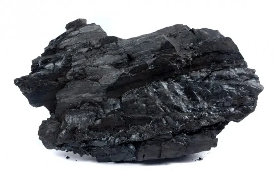 Vegetable coal