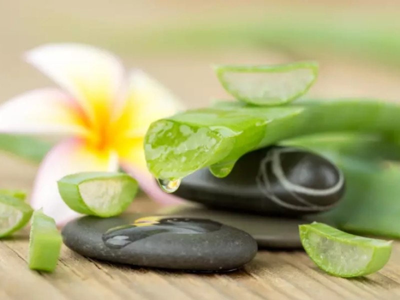 Aloe vera-based recipes for facial, skin, and body care